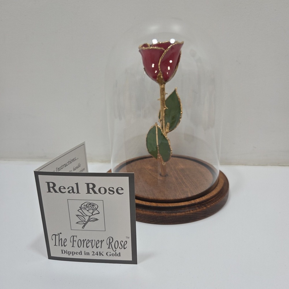 The Forever Rose Real Red Rose Dipped 24k